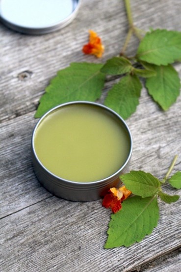 Tallow Herbal Rescue Salve Tallow Herbal Rescue Salve
